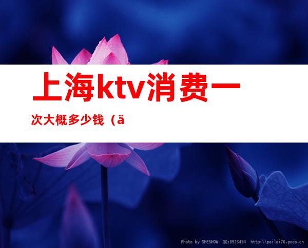 上海ktv消费一次大概多少钱(上海KTV多少钱)