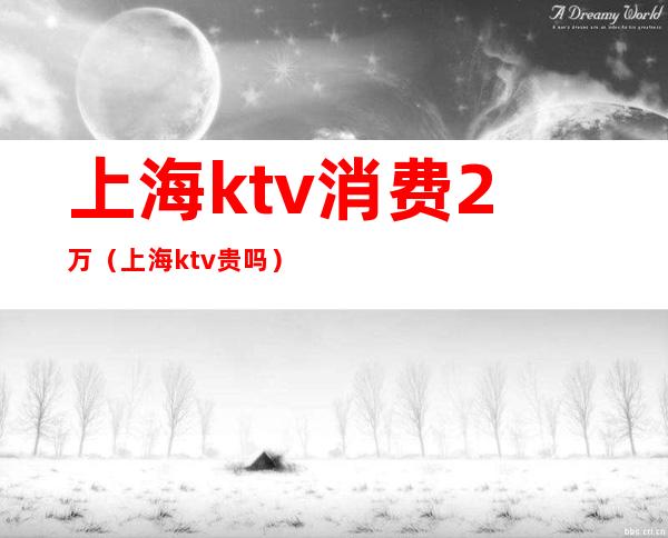 上海ktv消费2万(上海ktv贵吗)