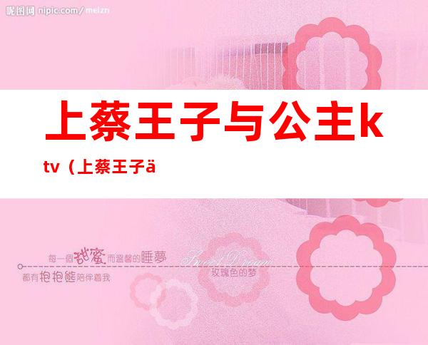 上蔡王子与公主ktv(上蔡王子与公主KTV)