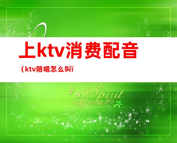 上ktv消费配音(ktv陪唱怎么叫)