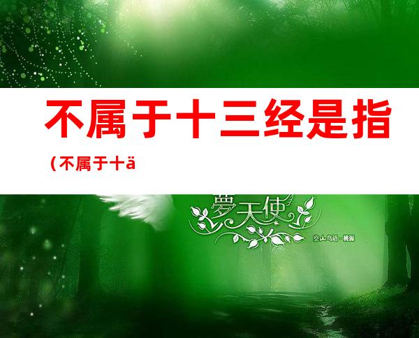 不属于十三经是指(不属于十三经是指的是什么书)