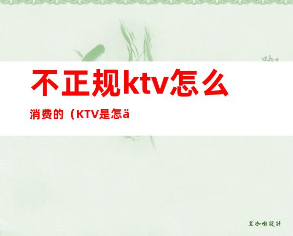 不正规ktv怎么消费的(KTV是怎么消费的)