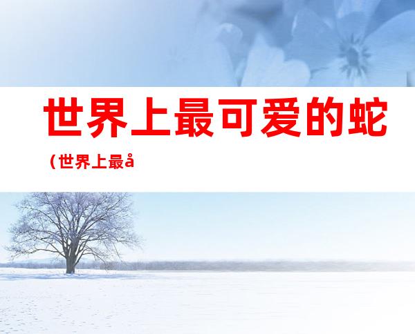 世界上最可爱的蛇(世界上最可爱的蛇 动漫)