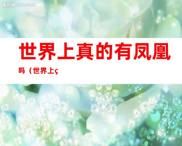 世界上真的有凤凰吗（世界上真的有凤凰吗?）