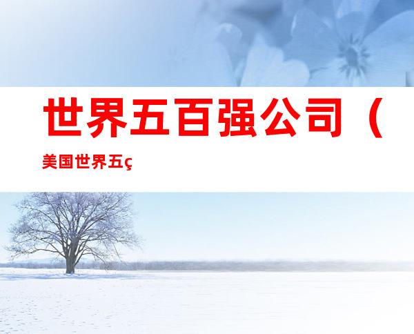 世界五百强公司(美国世界五百强公司)