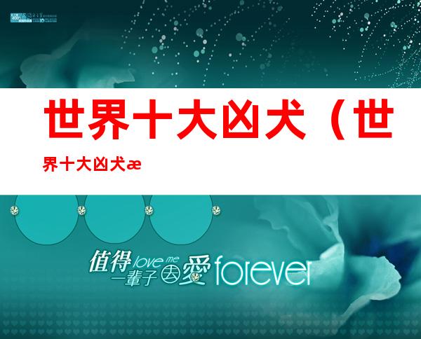 世界十大凶犬(世界十大凶犬排行图)