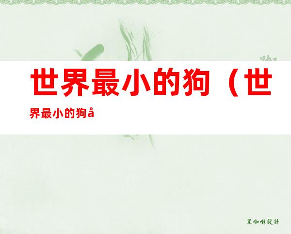 世界最小的狗（世界最小的狗多少钱一只）