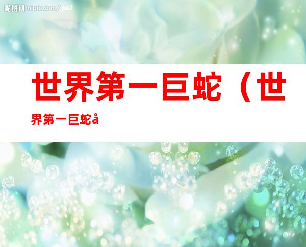 世界第一巨蛇(世界第一巨蛇图片)