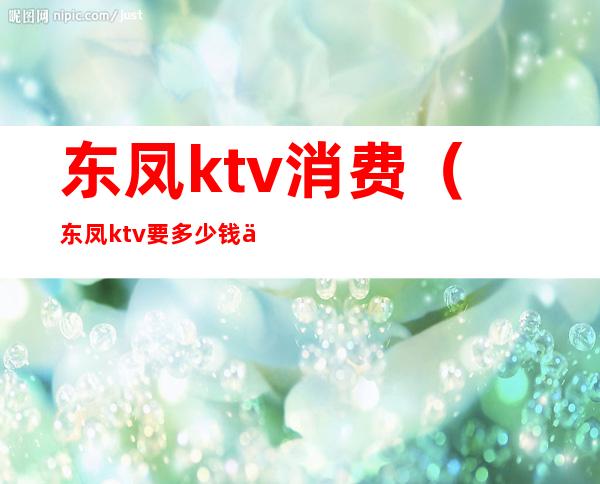 东凤ktv消费(东凤ktv 要多少钱一晚)