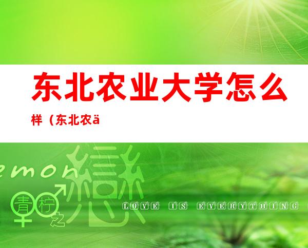 东北农业大学怎么样（东北农业大学怎么样算什么档次）