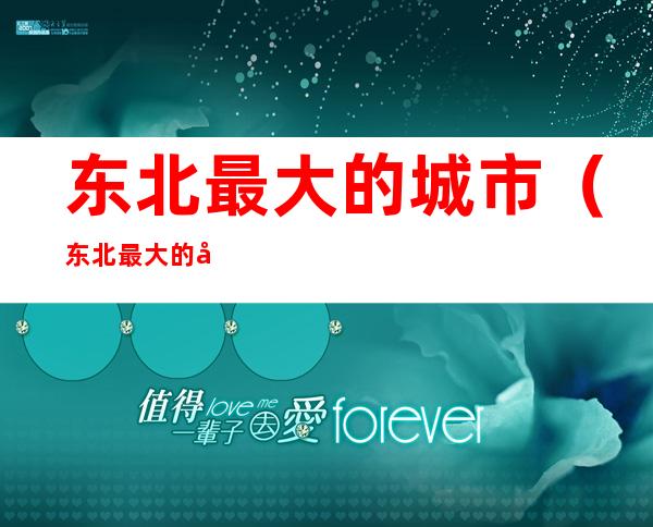 东北最大的城市(东北最大的城市面积)
