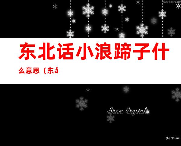 东北话小浪蹄子什么意思（东北话小浪蹄子是什么意思）
