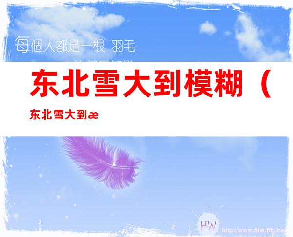 东北雪大到模糊（东北雪大到模糊相）