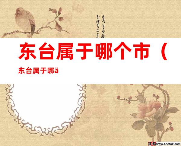 东台属于哪个市（东台属于哪个市哪个区）