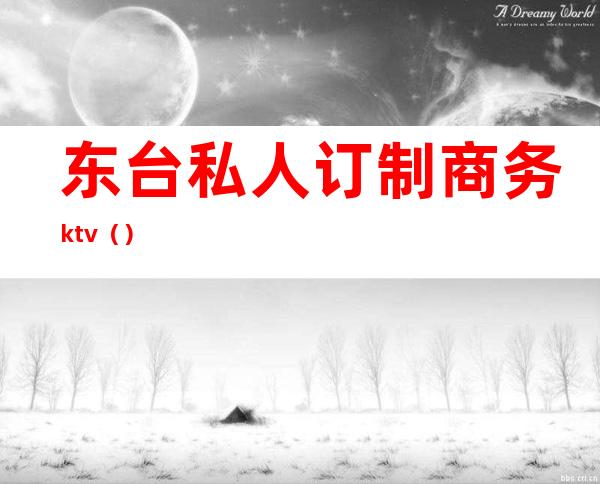 东台私人订制商务ktv()
