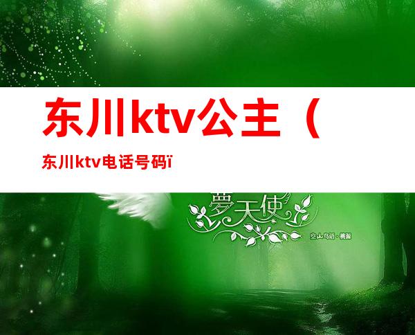 东川ktv公主(东川ktv电话号码)