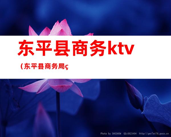 东平县商务ktv(东平县商务局电话)