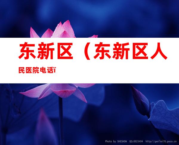 东新区(东新区人民医院电话)