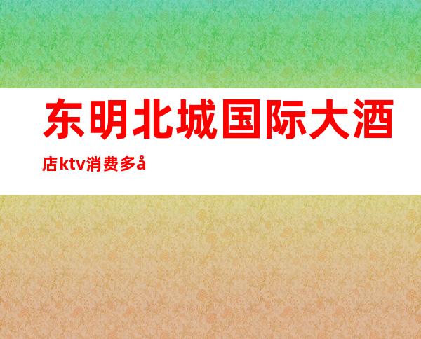 东明北城国际大酒店ktv消费多少钱(明城国际大酒店KTV)
