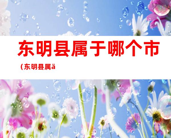 东明县属于哪个市(东明县属于哪个市区)