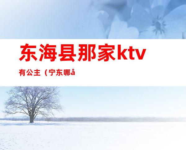 东海县那家ktv有公主(宁东哪家ktv有公主)