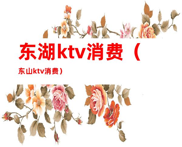 东湖ktv消费(东山ktv消费)
