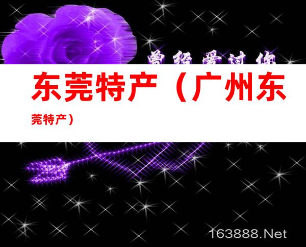 东莞特产(广州东莞特产)
