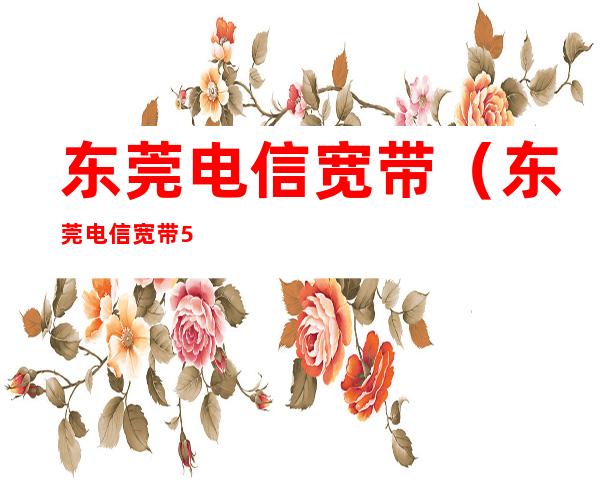 东莞电信宽带(东莞电信宽带59元套餐详情)