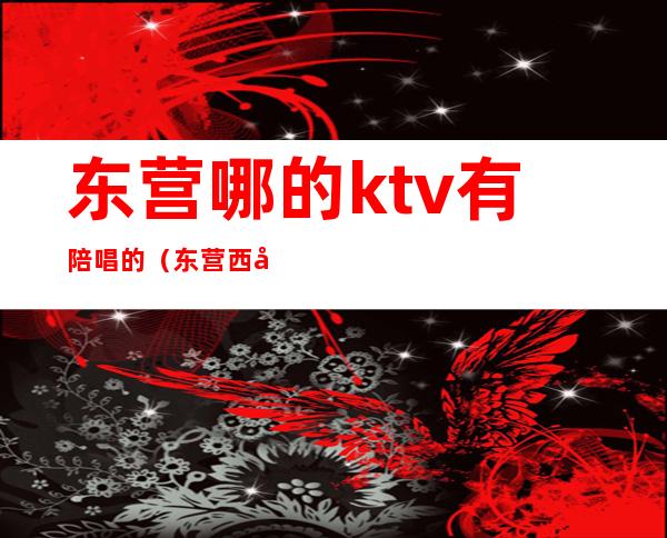 东营哪的ktv有陪唱的(东营西城陪唱KTV一条街)