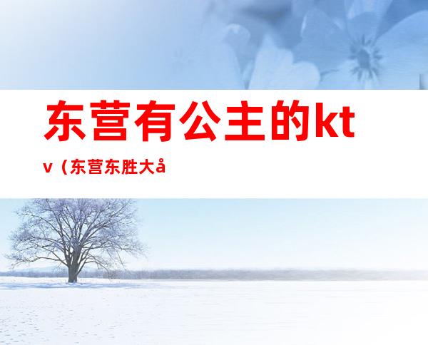 东营有公主的ktv（东营东胜大厦酒店）