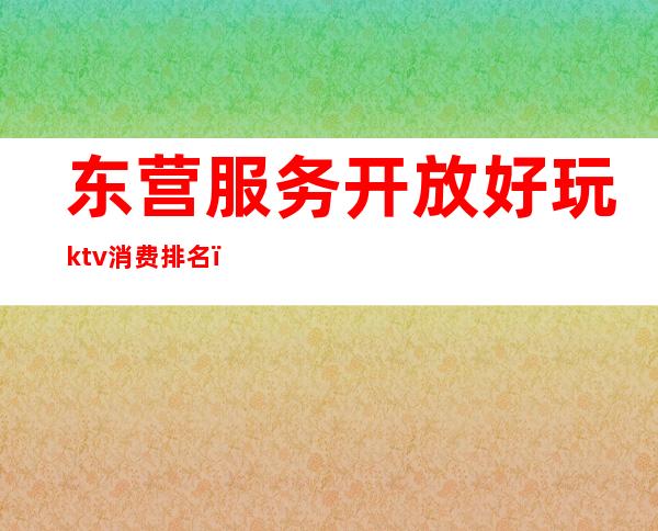 东营服务开放好玩ktv消费排名(东营小ktv是怎么玩的)