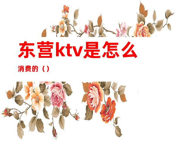 东营ktv是怎么消费的()
