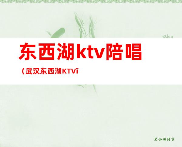 东西湖ktv陪唱（武汉东西湖KTV）