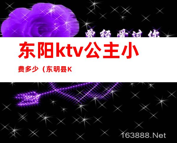 东阳ktv公主小费多少(东明县KTV公主价位)