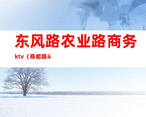 东风路农业路商务ktv(商都路与农业南路)