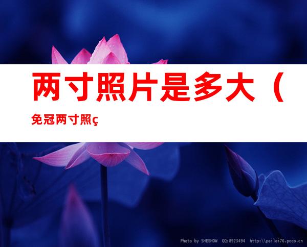 两寸照片是多大(免冠两寸照片是多大)