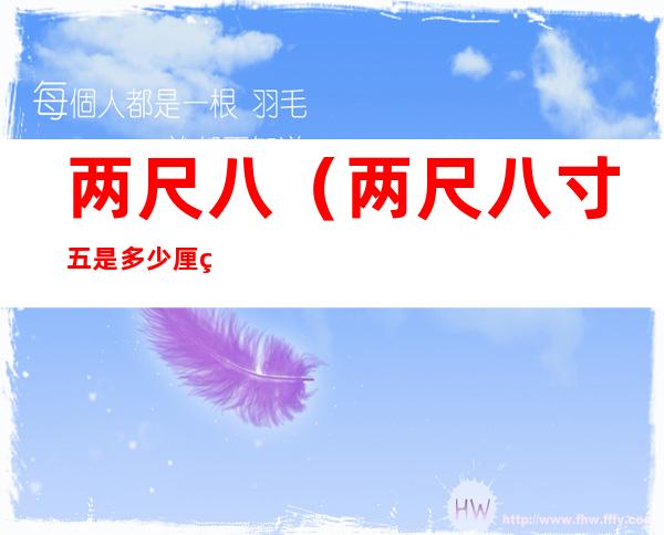 两尺八(两尺八寸五是多少厘米)