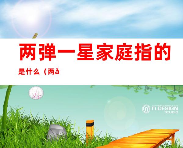 两弹一星家庭指的是什么（两弹一星家庭指的是什么呀）