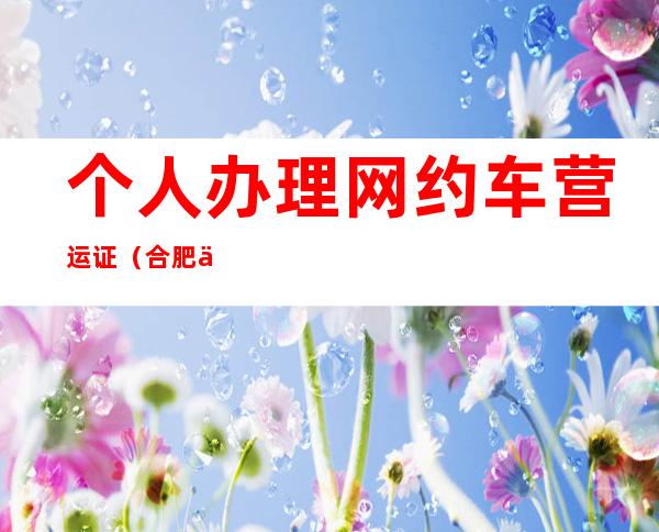 个人办理网约车营运证(合肥个人办理网约车营运证)