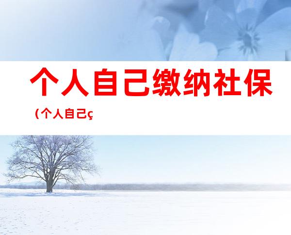 个人自己缴纳社保(个人自己缴纳社保和公司有什么区别)