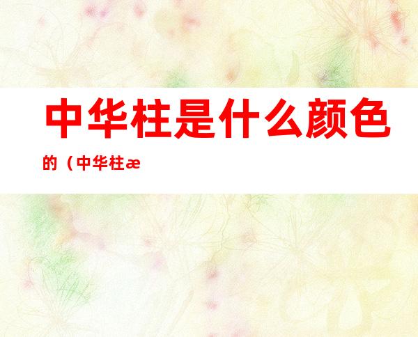 中华柱是什么颜色的(中华柱是什么颜色?)