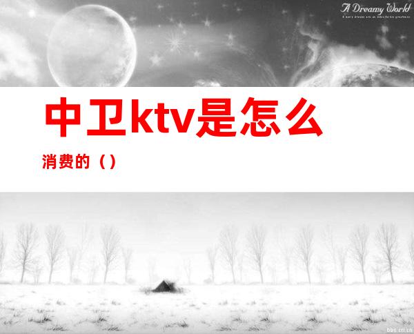 中卫ktv是怎么消费的()