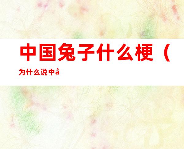 中国兔子什么梗(为什么说中国是兔子什么意思)