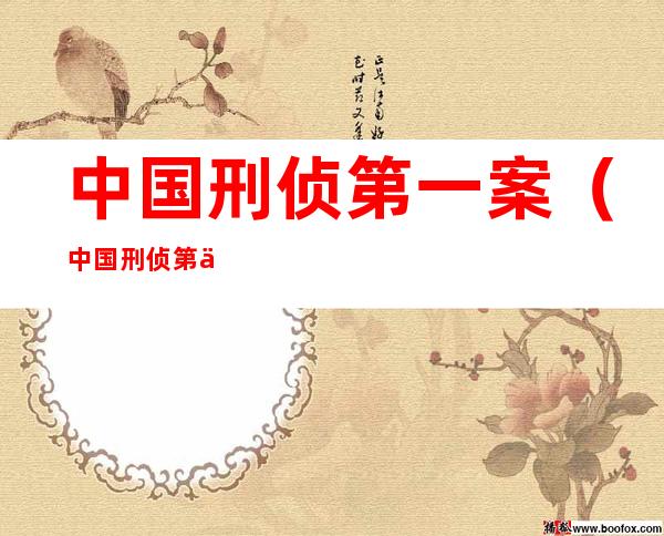 中国刑侦第一案(中国刑侦第一案芒果tv)
