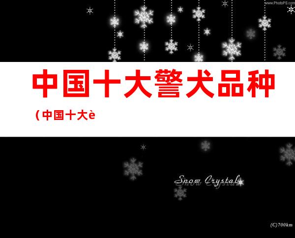 中国十大警犬品种（中国十大警犬品种名字）