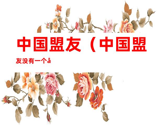 中国盟友(中国盟友没有一个发达国家)