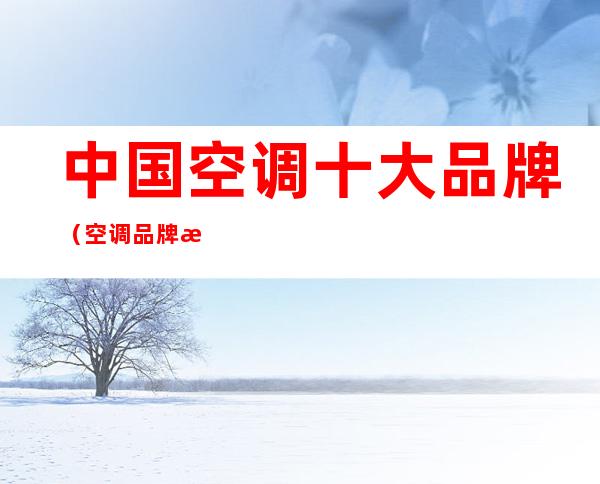 中国空调十大品牌(空调品牌排行榜前十名)