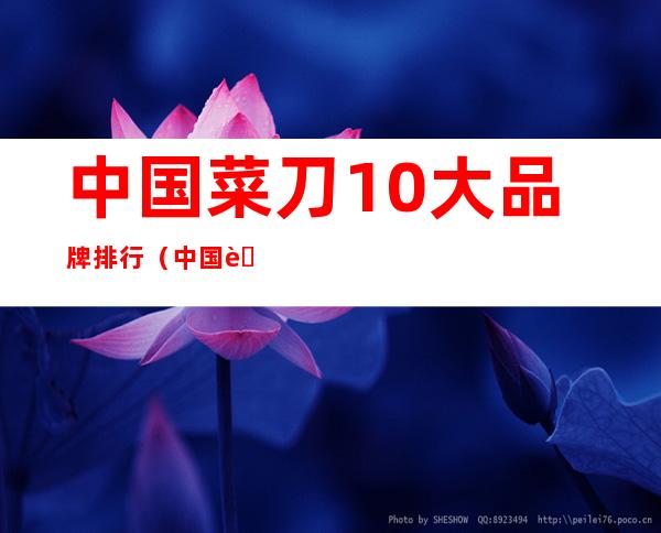 中国菜刀10大品牌排行（中国菜刀10大品牌排行榜最新）