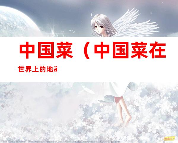 中国菜(中国菜在世界上的地位)