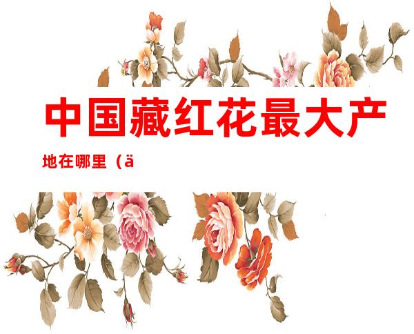 中国藏红花最大产地在哪里(中国藏红花最大产地在哪里啊)